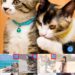 【インスタグラム】複数の写真をまとめて投稿する方法