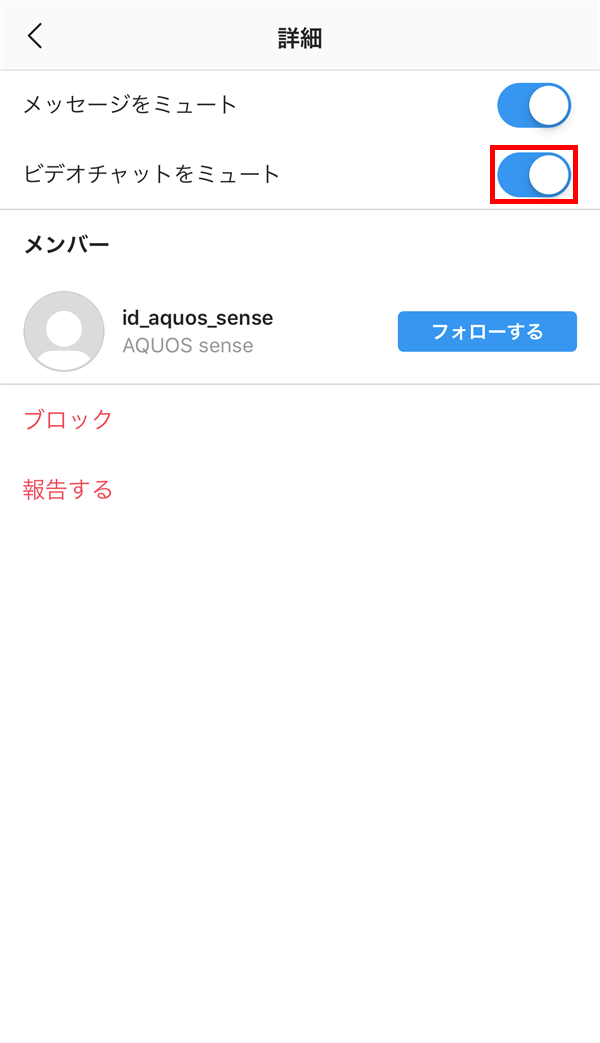 iOS版Instagram_DM_詳細_メッセージをミュートする_ビデオチャット