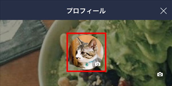 iOS版LINE_プロフィール画像変更完了